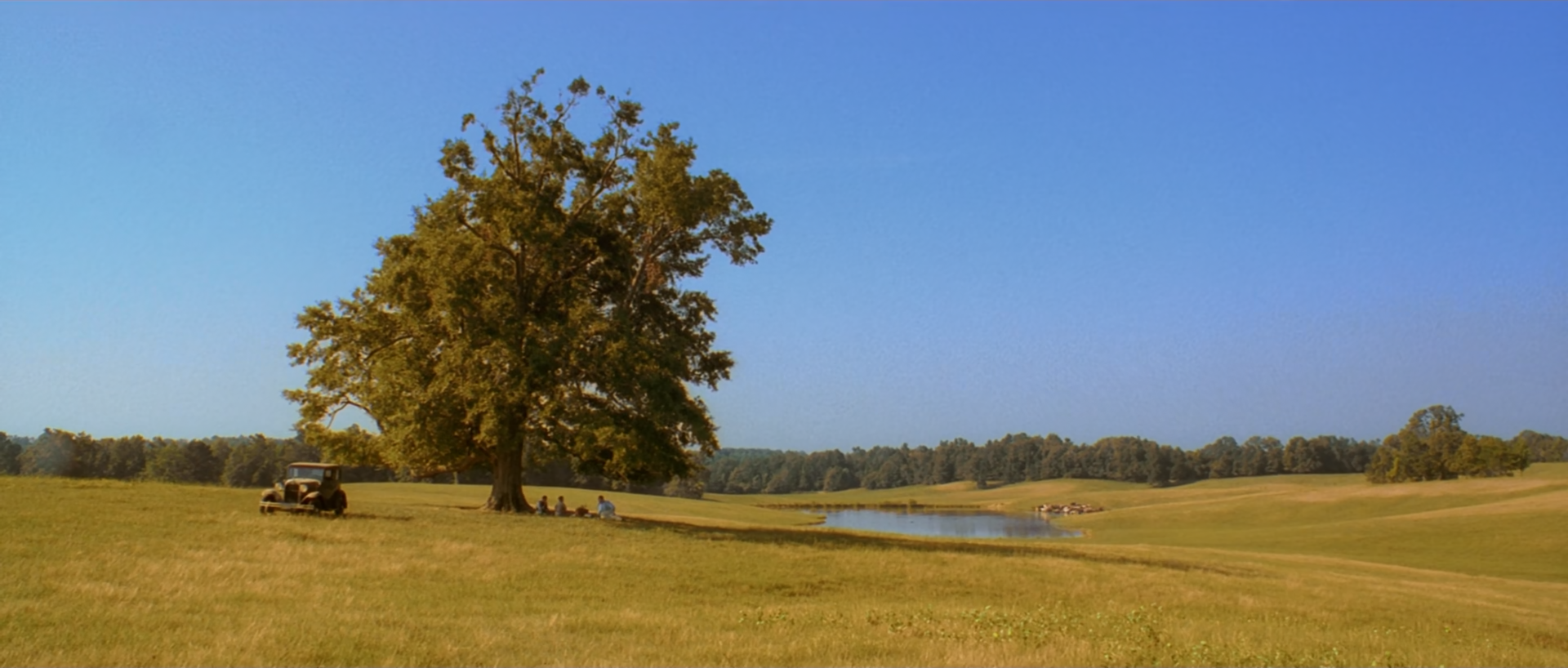 A solitary tree and ochre field sit beneath a clear blue sky, with water cutting across the distance.