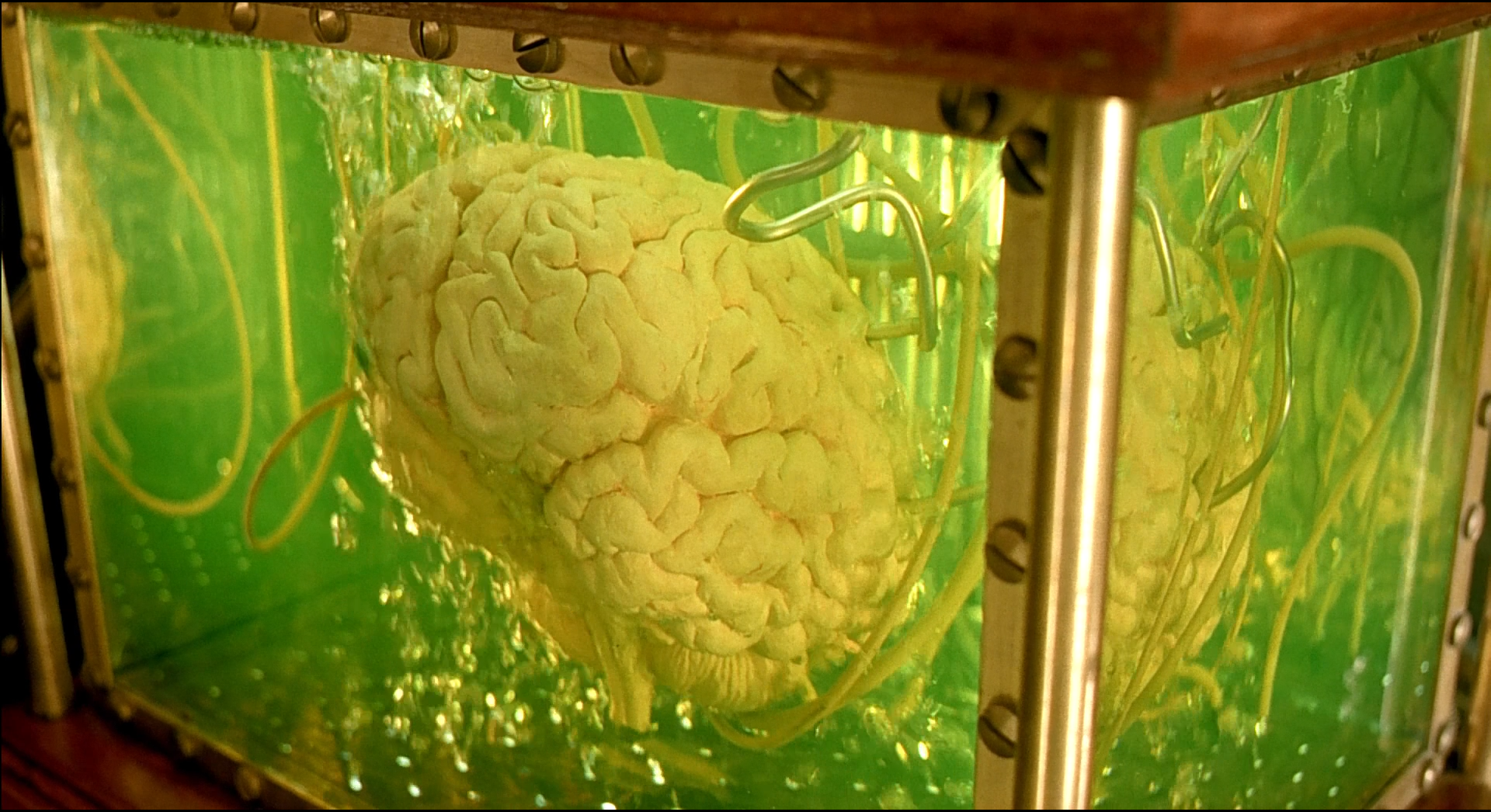 Shot 0170 from The City of Lost Children. Saturated green fluid and cream tissue push against polished amber framing.